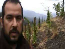 Viticultura biodinámica en el Priorat (Fredi Torres)