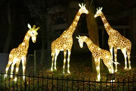 Le festival des lumières, appelé « espèces en voie d'illumination » aura lieu jusqu'au 15 janvier 2019. Jardin Des Plantes Les Especes En Voie D Illumination Et La Menagerie