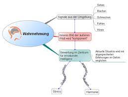 Die reize werden von den sinnesorganen aufgenommen, an das ungenauigkeit, selektivität, subjektivität, innere wahrnehmung, äußere wahrnehmung, auf fantasie begründete wahrnehmung. Wie Funktioniert Wahrnehmung