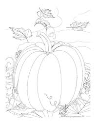 This is a fun preschool thanksgiving coloring page because its lines are so simple. Thanksgiving Pumpkin Coloring Page