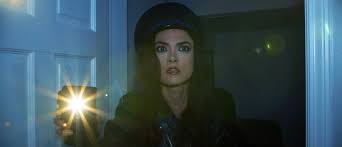 فیلم The Misadventures of Mistress Maneater 2020 – زیرنویس چسبیده