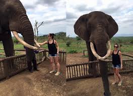 Joseph elanga fils (born 2 may 1979) is a cameroonian former professional footballer who played as a defender. Ilanga Lodge St Lucia Self Catering Accommodation