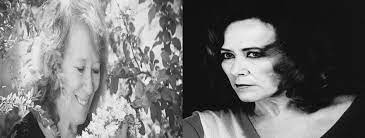 Facebook gives people the power to share. Maria Do Ceu Guerra Vence A 4Âª Edicao Do Premio Vasco Graca Moura Cidadania Cultural Linha Da Noticia