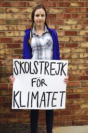 Diy Greta Thunberg Halloween Costume Sustainable Easy Fairly Southern Halloween Costumes New Halloween Costumes Costumes