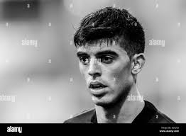 Parma juan Black and White Stock Photos & Images