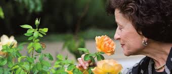 Transforming lives and look; plans progress for the Jewish Home Inspired  retirement living, that's Moldaw Residences' recipe