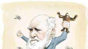 The Evolution Catechism