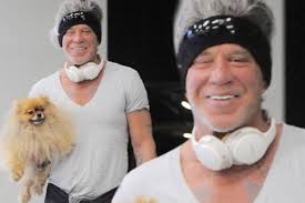 Image result for mickey rourke dog