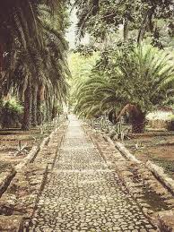 Entdecke Interessante Orte Auf Mallorca Die Garten Von Alfabia Mallorca Reisen Mallorca Und Mallorca Urlaub