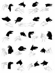 That means looking at objects within your frame to see the direction of the light. 280 Hand Shadows Ideas Hand Shadows Shadow Puppets Shadow
