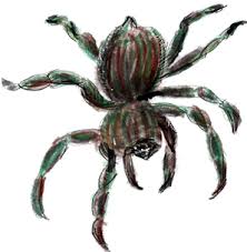 What does black widow spider dream mean? Dream Interpretation For Spider