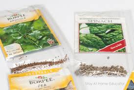 Some fun seed activities for kids! Investigating Seeds In Preschool Farm Theme Science Center