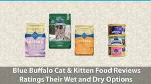 Don't feed your cat a dry food containing grains or too many carbs. Blue Buffalo Cat Kitten Food Reviews Ratings Wet And Dry Options