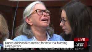 Inside the witness list for Donna Adelson's murder trial