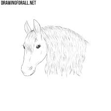 Finally, draw a long, flowy mane down the back of the head to finish your drawing. How To Draw A Horse Head