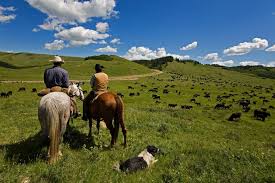 Jun 18, 2021 · the state rangeland management specialist is the primary leadership position for all nrcs rangeland programs. Rangeland Restoration Combating Heavy Overgrazing Eco Intelligent