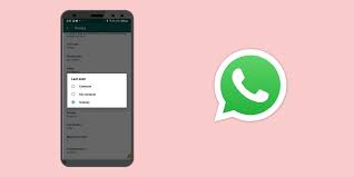 Now, whenever you are ready with all the mentioned things, you can. How To Hide Last Seen And Online Status On Whatsapp Cashify Blog