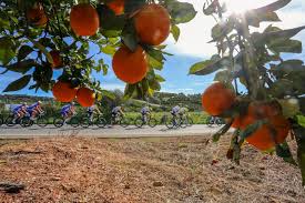 Jennifer granda video xxx clearly, Linda has evolved within