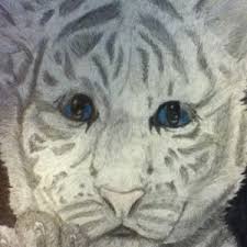 How to draw a white bengal tiger striped easy slowly step by step for kids and beginners fanpage facebook drawing for kids. How To Draw A White Bengal Tiger Cub Step By Step Drawing Guide By Kanashimi No Hoshi Dragoart Com