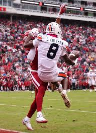 Image result for Deep Auburn 2013 200