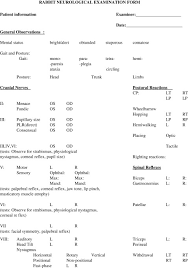 Image result for Neurologic Lesion Localization