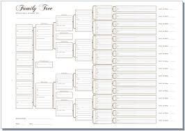 12 ageless is there a blank chart for family tree