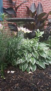 Pin On Garden