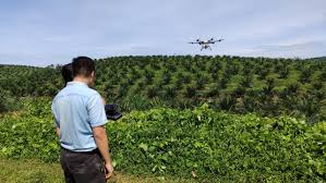 Saya jadi tidak bisa menafkahi keluarga. Syarikat Dron Tempatan Lancar Oryctes Dron Pertanian Pintar Kelapa Sawit Pertama Dunia Prebiu Com