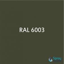 Peinture Ral 6003 Vert Olive Aerosol 400 Ml Belton 324098