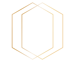Shape Png Heart Shape Diamond Shapes Banner Vector Transparent Free Transparent Png Logos