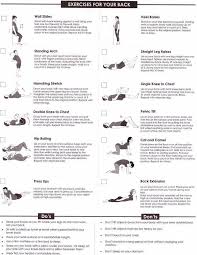 Pin On Tips On Back Pain