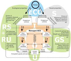 Adaptive micro systems (m) sdn bhd. Reconciling Nature People And Policy In The Mangrove Social Ecological System Through The Adaptive Cycle Heuristic Sciencedirect
