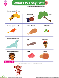 What Do Animals Eat 2 Worksheet Education Com Animal Activities For Kids Science Worksheets Life Science