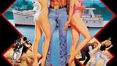 Malibu Express | Rotten Tomatoes