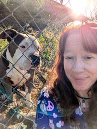 Pitbull wandering around San Fernando near railroad tracks