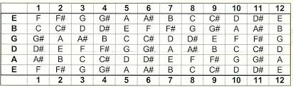 everything is here guitar fret board for beginners