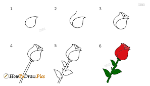 This will help us get a sense of the direction the head is facing and where the to place the features. Easy Drawing Beginner Easy Drawings Step By Step Flowers