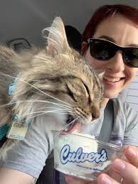 Poopycat's first car ride with kitty custard