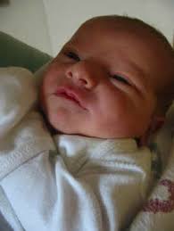 LEE SCHAEFFER's Home Page