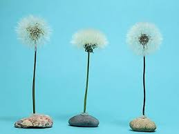 Basteln mit senioren hat eine lange tradition. Pusteblume Deko Basteln Und Sie Bleiben Fest Kreativraum24