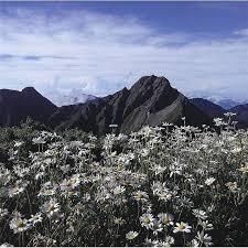 pin by matt mak on 風景 landscape photos nature pictures