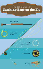 Beside the obvious advantage of potentially offering two fly choices to the trout, it provides you the opportunity to simultaneously present a fly in two different. Catching Bass With A Fly Rod Fix Com