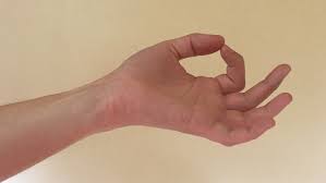 We did not find results for: Mudras For Inner Peace Let It Go Yoga
