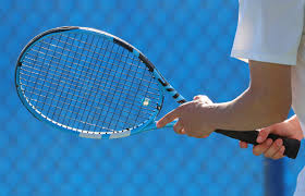 Area Girls Tennis: W-DC finishes as section runners-up