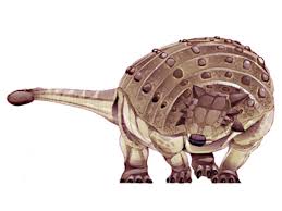 It is currently the geologically youngest known of all the asian ankylosaurid dinosaurs and is. Tarchia Jurassic Park Wiki Fandom