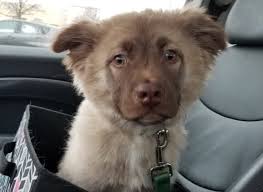 Sad spelled backwards is das and das it I'm drinking a beer.