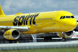 Image result for Yellow 2025 Fleet