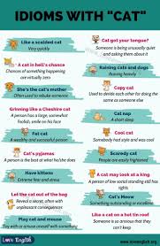 Pin On Idioms Slang American