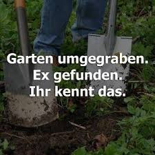 Witzige Bilder Funny Statements Sarcasm Humor Cool Words