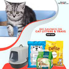 Big Savings Upto 37 5 On Best Cat Litter Cat Litter Best Cat Litter Litter